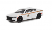 DODGE Charger Pursuit "Absaroka County Sheriff's Department" 2015