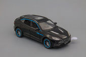 Aston Martin DBX, 165х70 мм, чёрный с голубыми полосками