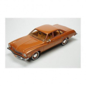 BUICK Century 4d 1974 Ginger Poly 